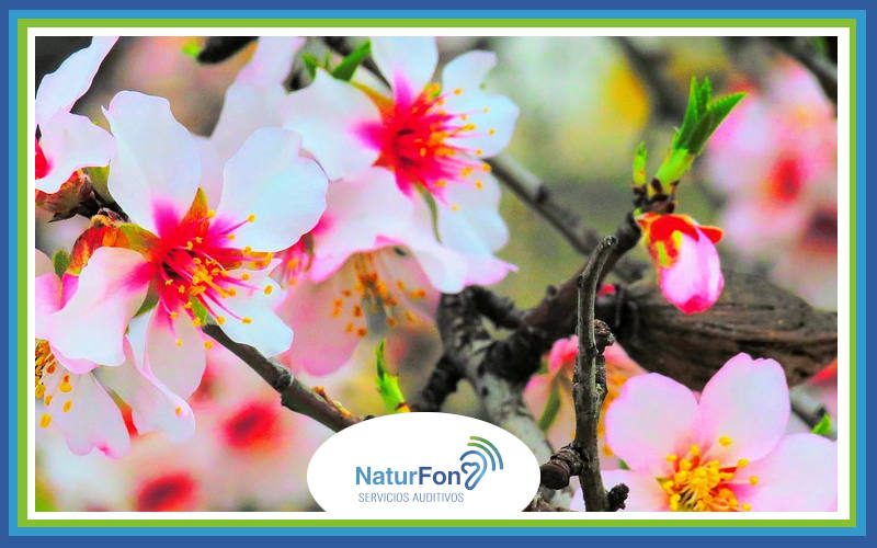 Mejorar la audición en primavera con NaturFon